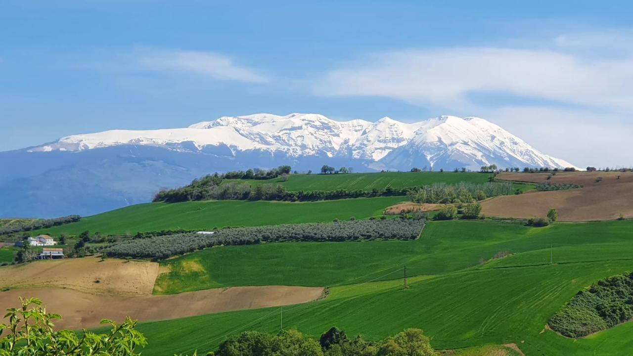 مبيت وإفطار Civitella Casanova Casa Ciuffina المظهر الخارجي الصورة