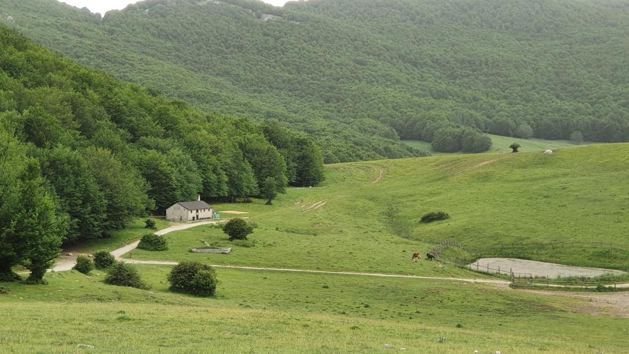 مبيت وإفطار Civitella Casanova Casa Ciuffina المظهر الخارجي الصورة